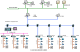 沼气 Biogas