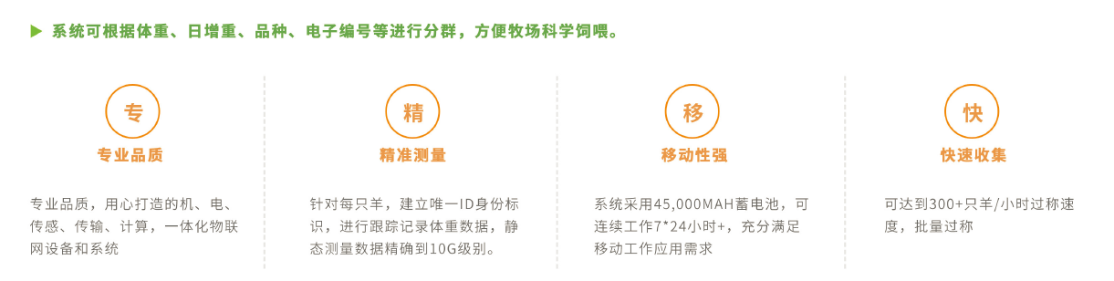 羊用智能称重分群设备 羊用智能称重分群设备